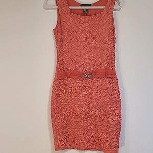 Dresd by Frank lyman